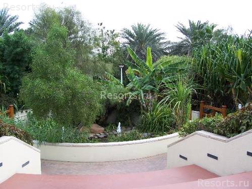Jumeirah Beach Club Resort & Spa 9